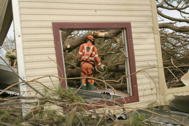 Best Utility Line Clearance  in USA